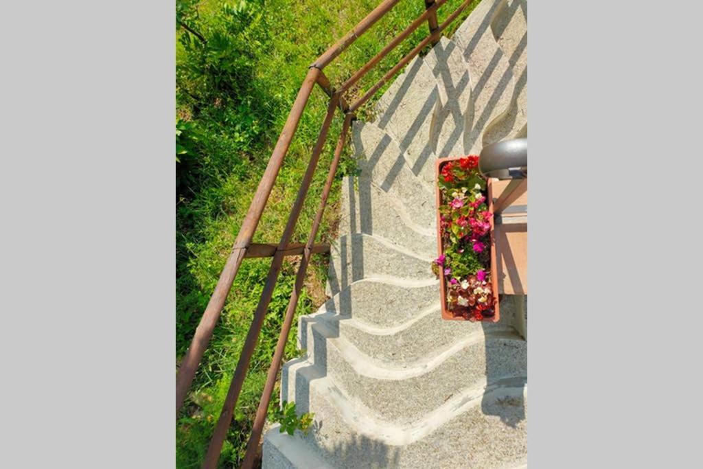 Villa Con Piscina 10 Posti Letto, L'Oliveta Di Rivalto Chianni Exteriör bild