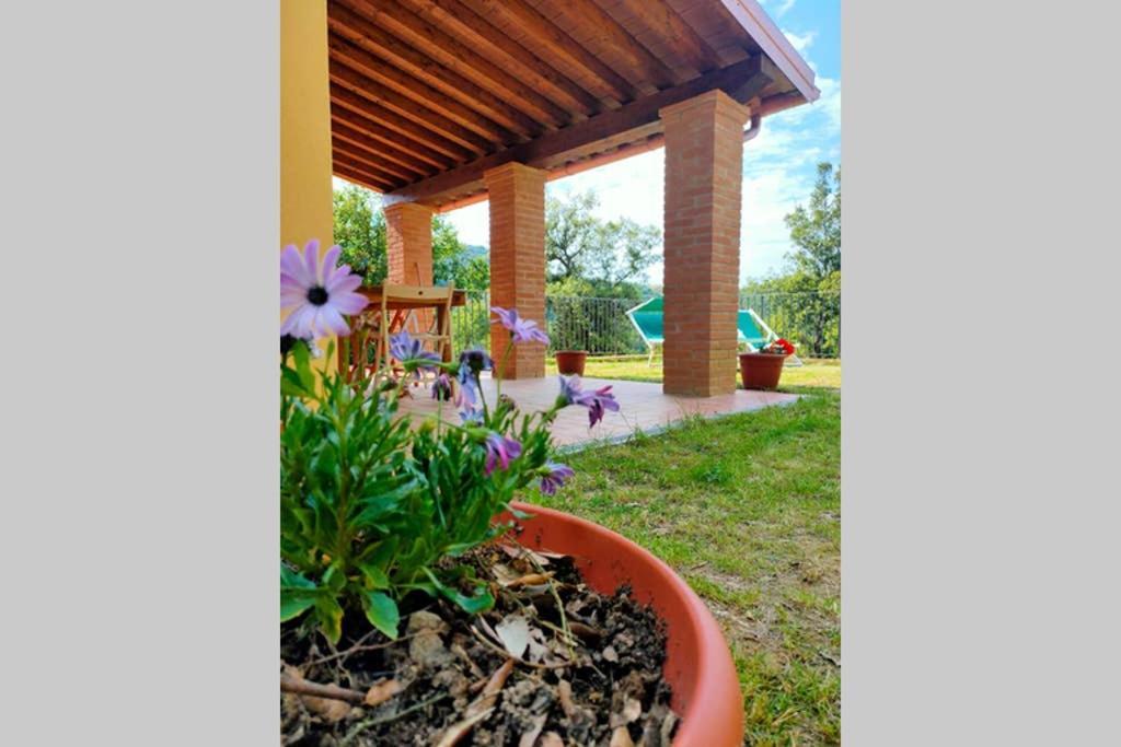 Villa Con Piscina 10 Posti Letto, L'Oliveta Di Rivalto Chianni Exteriör bild