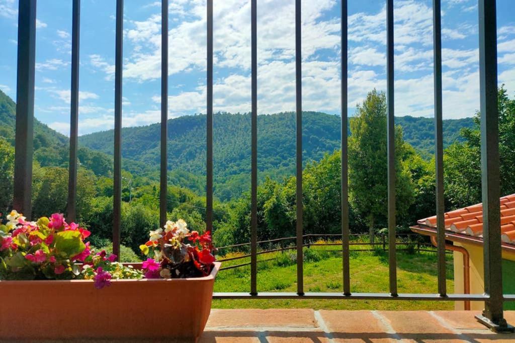 Villa Con Piscina 10 Posti Letto, L'Oliveta Di Rivalto Chianni Exteriör bild