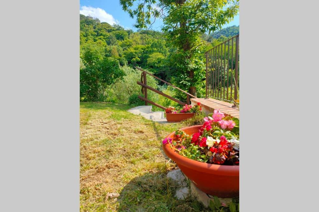 Villa Con Piscina 10 Posti Letto, L'Oliveta Di Rivalto Chianni Exteriör bild